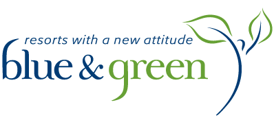 Blue and Green logo