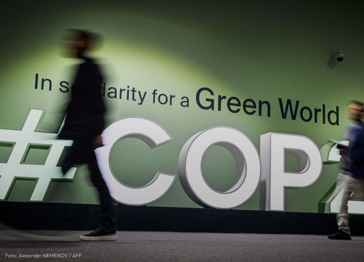 COP29