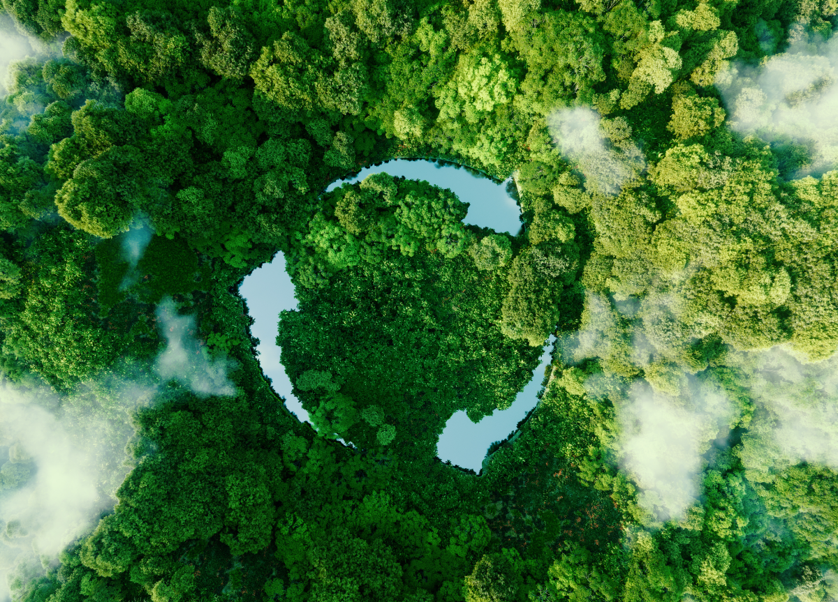 sustentabilidade